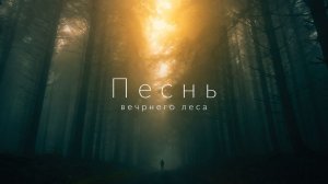 ✧ Звуки вечернего леса и ambient-музыка для сна, работы, учебы  и расслабления