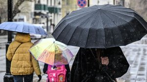 Похолодание пришло в Москву и Подмосковье. Заморозки ударили по Костромской и Ярославской областям