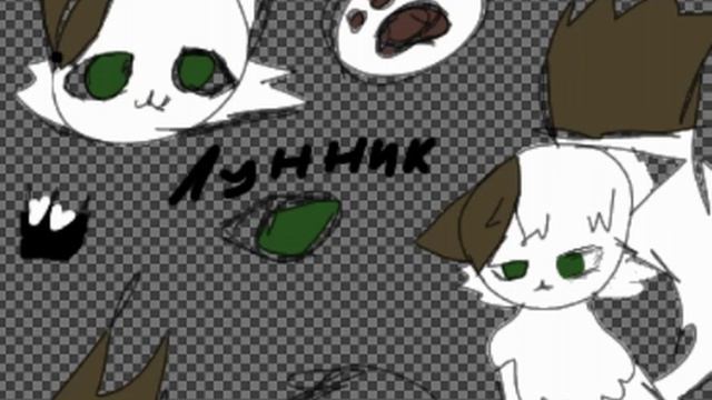 кото страничка Лунника (^._.^)ﾉ смотреть онлайн
