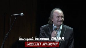Зацветает краснотал исполняет Валерий Белянин. Творческий вечер Олега Иванова