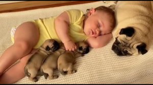 Puppies vs Babies Who Is Cuter 😍🐶👶 Ultimate Cuteness Comparison