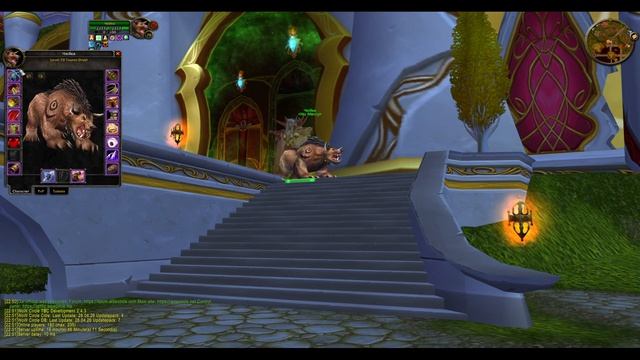 Друид читер с дебафом Туман Порчи | WoW Circle