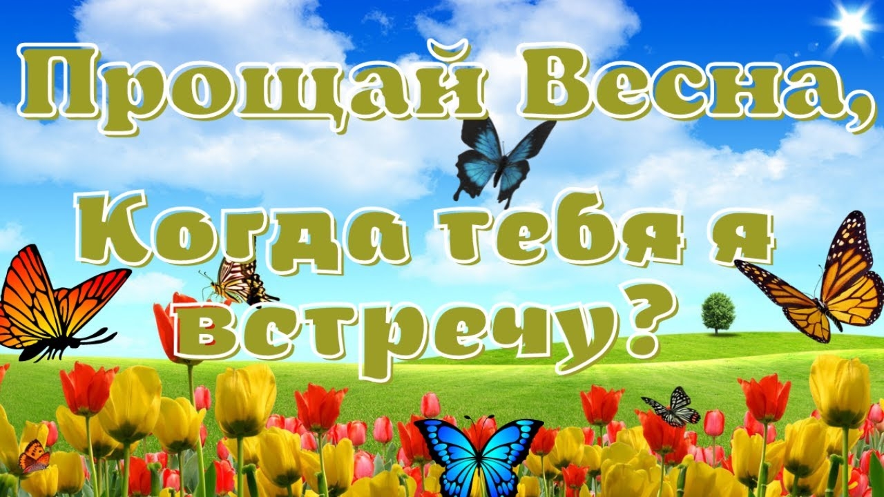 Из весны в лето . Самая лучшая музыкальная открытка.