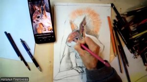 Белочка (цветные карандаши) ч2