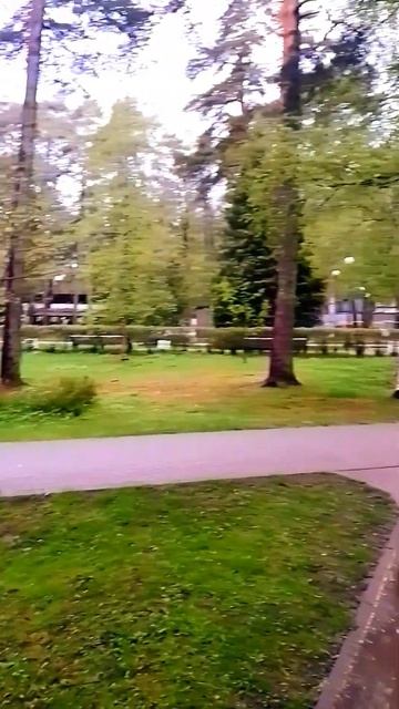 Центральный парк Зеленогорска. #travel