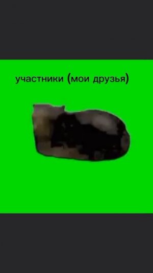 друзьяшки