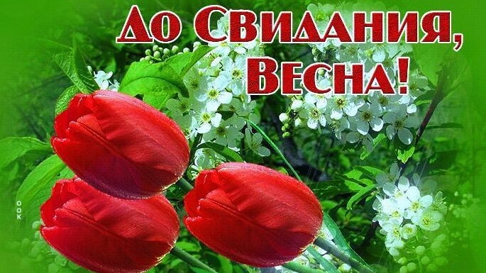 Прощай весна. Красивая музыкальная открытка.
