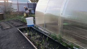 ПРИЕХАЛИ ДОМОЙ, ДЕЛА ОГОРОДНЫЕ.