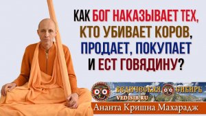 Как Бог наказывает тех, кто Убивает Коров, Продает, Покупает или ест Говядину?