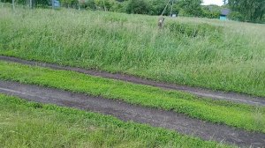 Чем сегодня занималась сама не поняла
