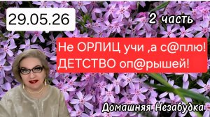 2 часть. Не ОРЛИЦ учи ,а с@плю☝️❗️ДЕТСТВО оп@рышей❗️