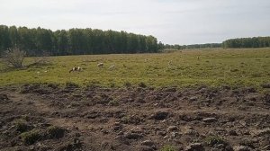 +31 У нас прям лето