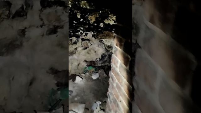 обрезанное видео парамоновские склады смотреть онлайн