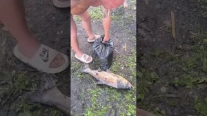 64-й Рыбхоз 23-24.05.26 Платная рыбалка