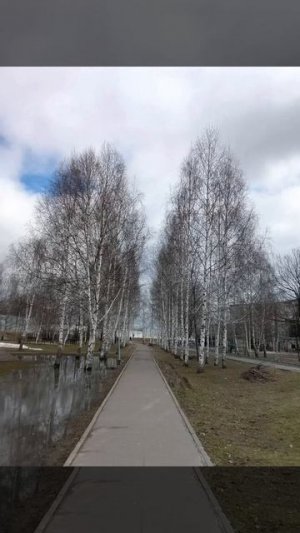 времена года