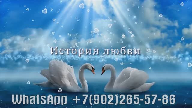 Заказать поздравительный слайд-шоу для свадьбы из фото и музыки смотреть онлайн