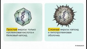 Биология 10 класс § 14 Вирусы — неклеточная форма жизни