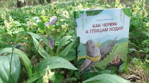 Книга «Как червяк к птицам ходил» Татьяны Павленко. Всё Моё. Фрагмент выпуска от 14.05.2026