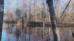 ЧТО ЗА ДИЧЬ-ДИКИЕ РЕЦЕПТЫ