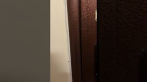 IMG_6017