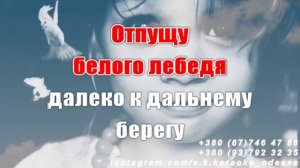 Спасибо мама(AK)~___Могилевская #караоке #подпишись #тренды #Kurkov @a.k.karaoke💖