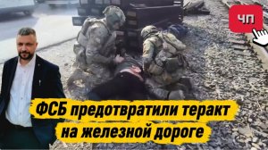 ФСБ предотвратили теракт на железной дороге в Новороссийске