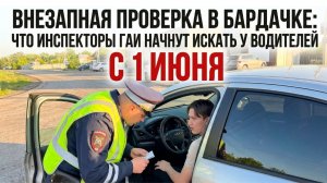 Внезапная проверка в бардачке: что инспекторы ГАИ начнут искать у водителей с 1 июня