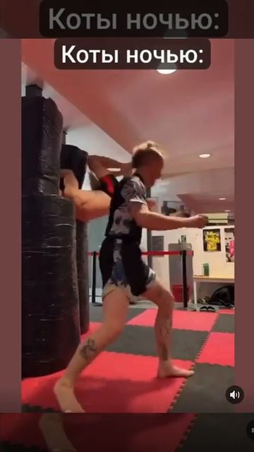 Звуки котов ночью смотреть онлайн
