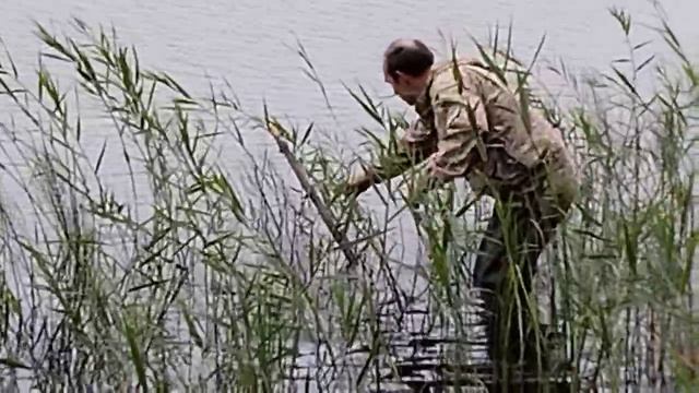 Путешествия, лес, рыбалка....