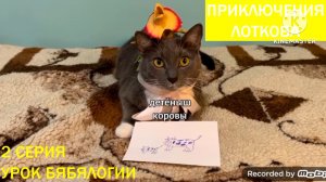 Приключения лоткова - 2 серия Урок бябялогии