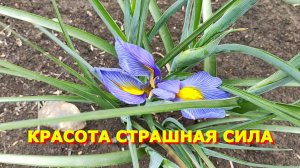 93.Переезд на Юг Летала как стрела Прополка травы