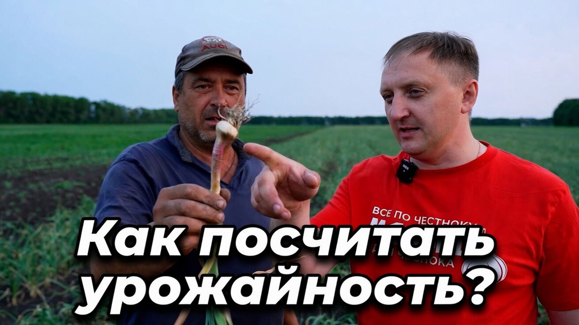 Как посчитать свою урожайность? Простая формула для фермера