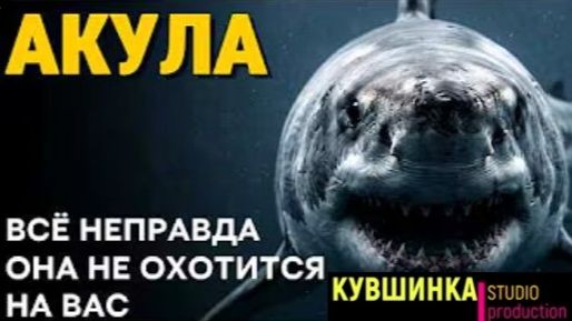450 миллионов лет совершенства смотреть онлайн