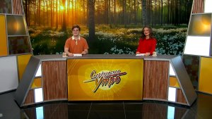 Свердловское утро от 29.05.2026
