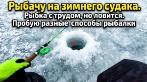 Рыбачу на зимнего судака. Рыбка с трудом, но ловится. Пробую разные способы рыбалки