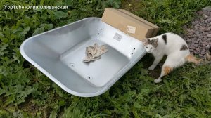 Архив 🤗  Купили участок. Покупка для участка и новые работы