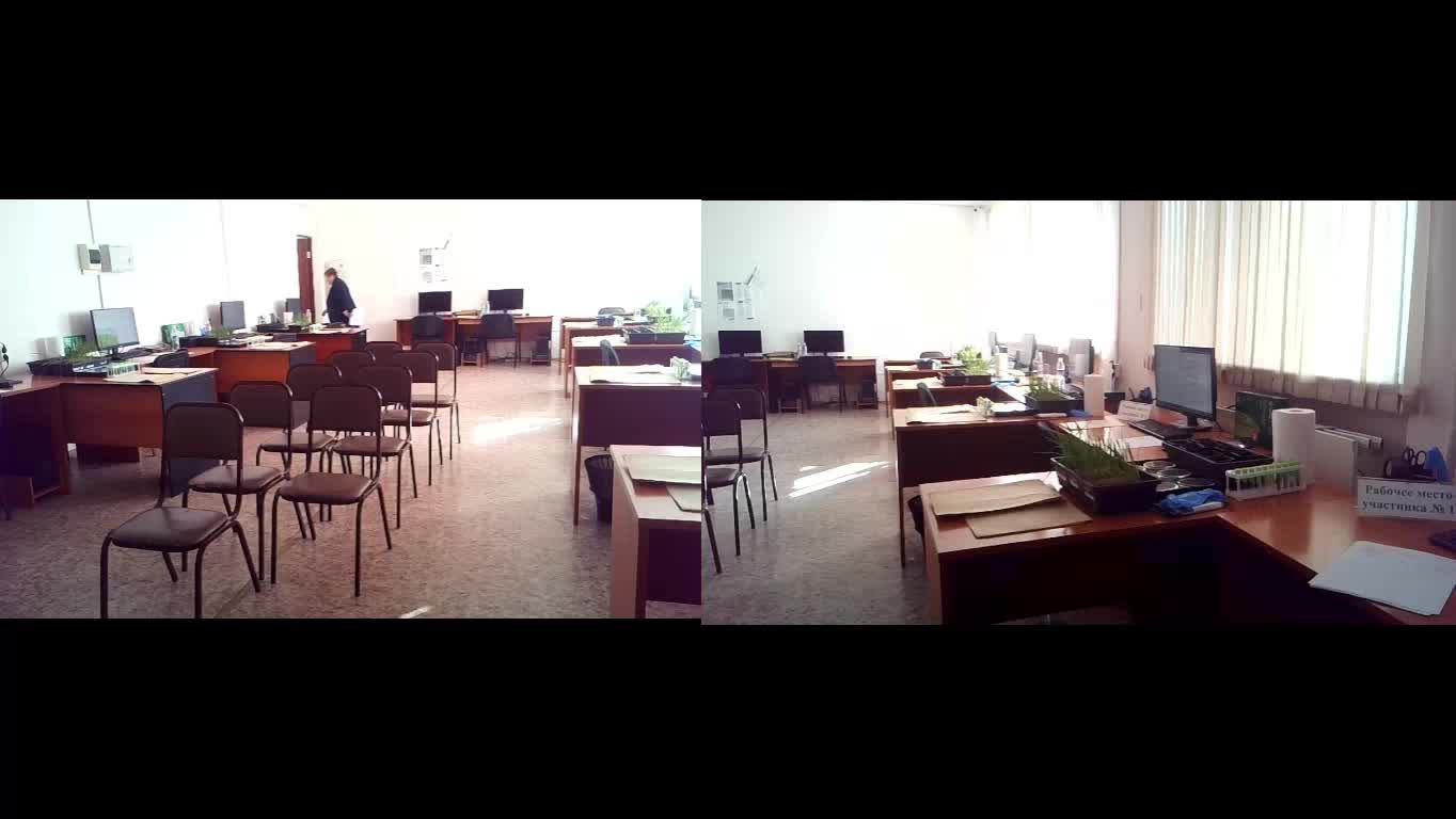 Дем Экзамен 29.05.2026 смотреть онлайн