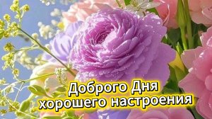 Доброго дня хорошего настроения – красивая музыкальная открытка. Скачайте бесплатно