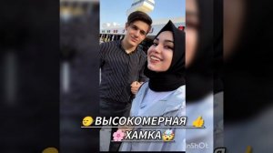 🤯новая песния для настраения  дашунэн пэ 💫🤪зурэстэ 😘🙂↔️👍