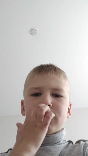 песн