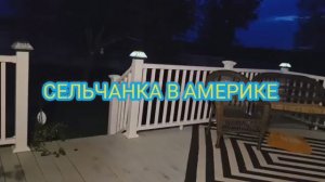 Сельчанка в Америке Сажаю огурцы в США Наш огород весной 2026
