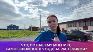 Соль-опрос про уход за растениями_25.05.2026_СольТВ