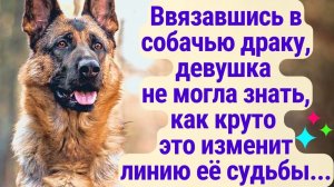 Ввязавшись в собачью драку, девушка не могла знать, как круто это изменит линию её судьбы...