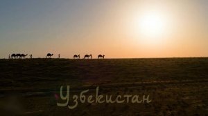 Mehdi - Eastern Sunset