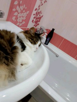 С кузей сидим