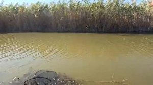 Рыбалка в канале, ловля карася на поплавочную удочку