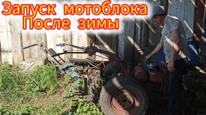 Первый запуск  мотоблока МТЗ после длительного зимнего простоя,и подготовка к посадке картофеля.