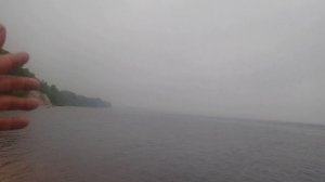 в поисках зубастой