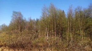 +27, а мы на озере купаемся