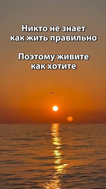 Живите как хотите 😁 смотреть онлайн